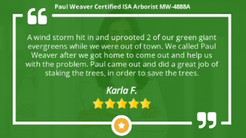 Paul Weaver Arborist Kansas City