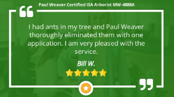 Paul Weaver Arborist Kansas City