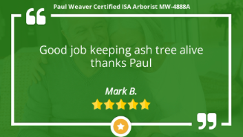 Paul Weaver Arborist Kansas City