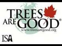 Trees are good for all of us